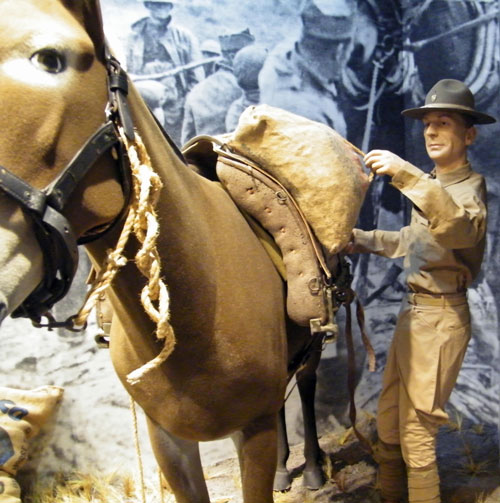 M1924 Phillips Pack Saddle in the TC Museum exhibit.